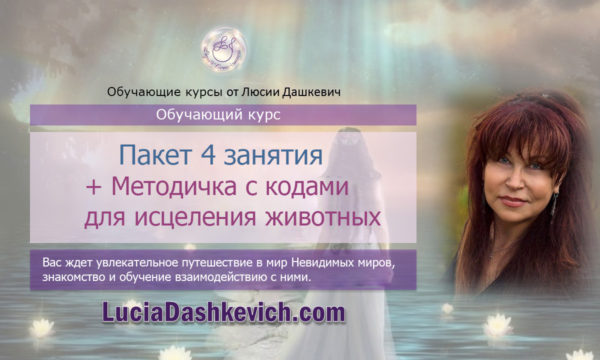 Пакет 4 занятия + Методичка с кодами для исцеления животных