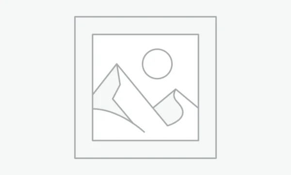 Заполнитель